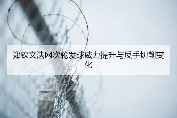 zheng-qin-wen-fa-wang-ci-lun-fa-qiu-wei-li-ti-sheng-yu-fan-shou-qie-xiao-bian-hua-3-201.jpg