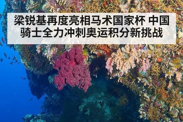 梁锐基再度亮相马术国家杯 中国骑士全力冲刺奥运积分新挑战